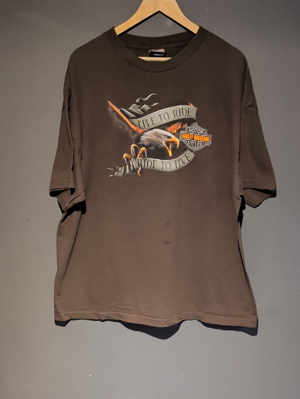 Harley-Davidson Eagle Graphic, 2015 Wyoming